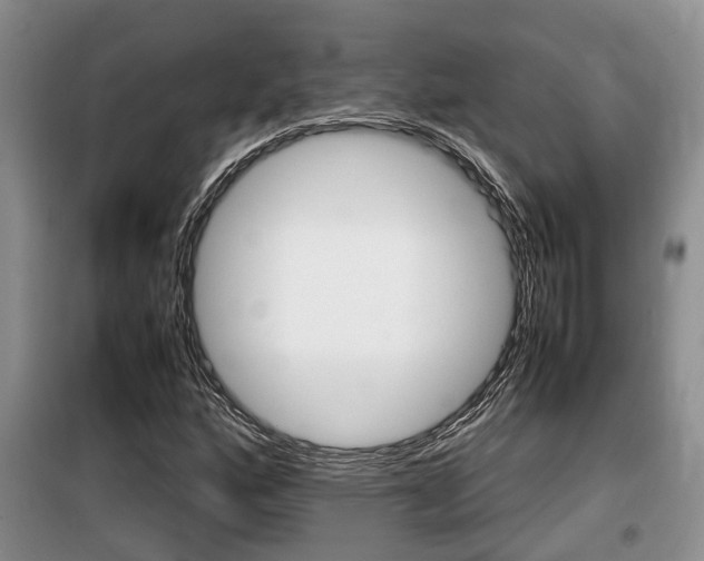 X0000100191160200805300718