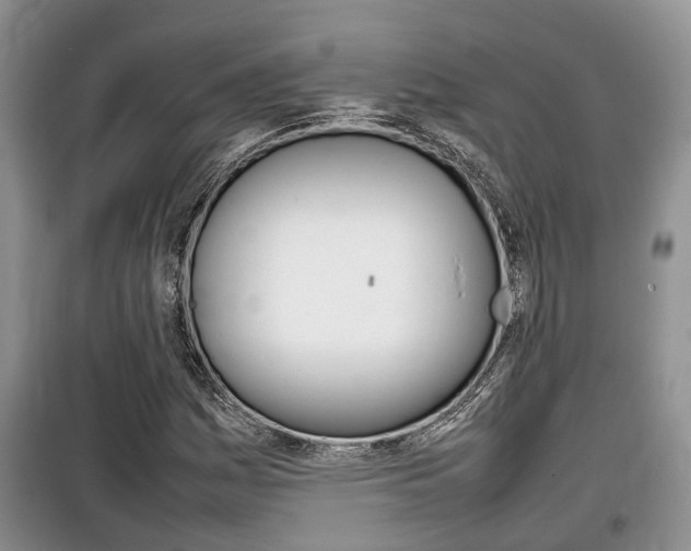 X0000100191161200805300718