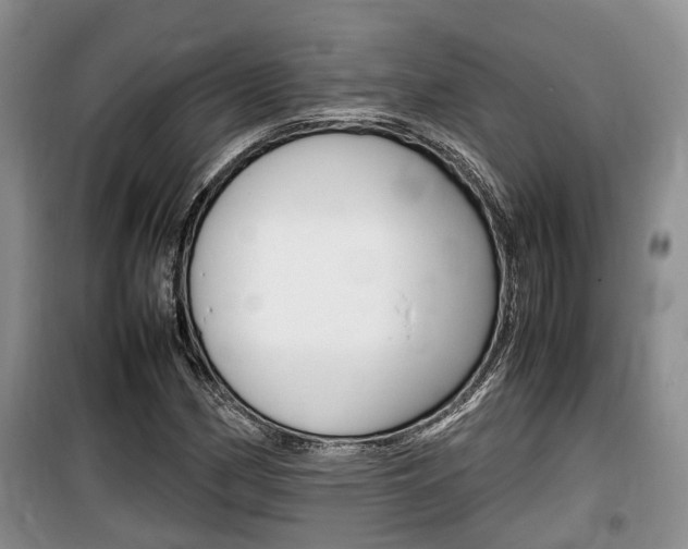 X0000100191162200805300718