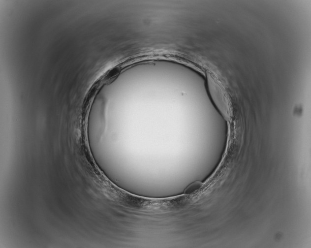 X0000100191165200805300718