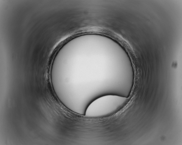 X0000100191166200805300718