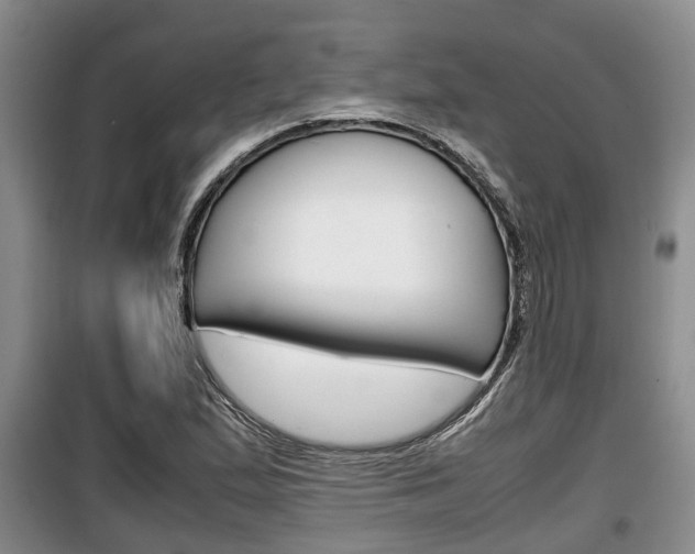 X0000100191167200805300718