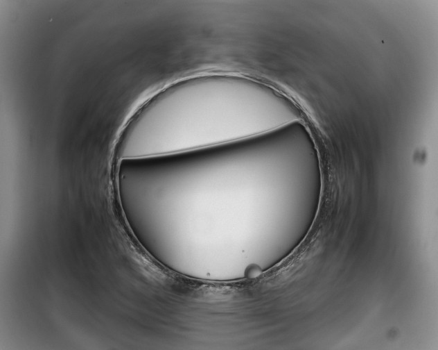 X0000100191168200805300718