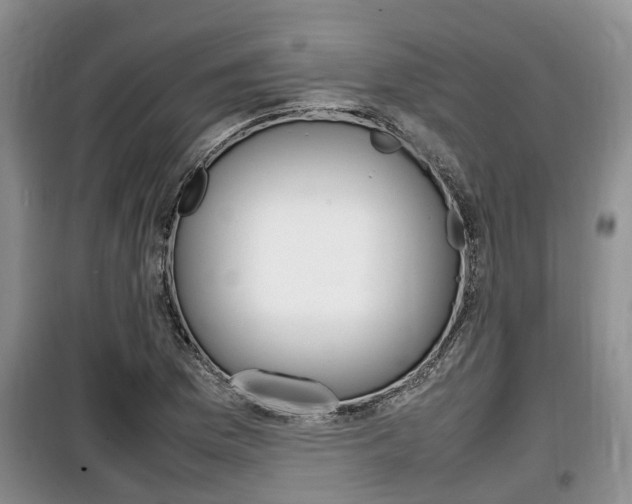 X0000100191169200805300718