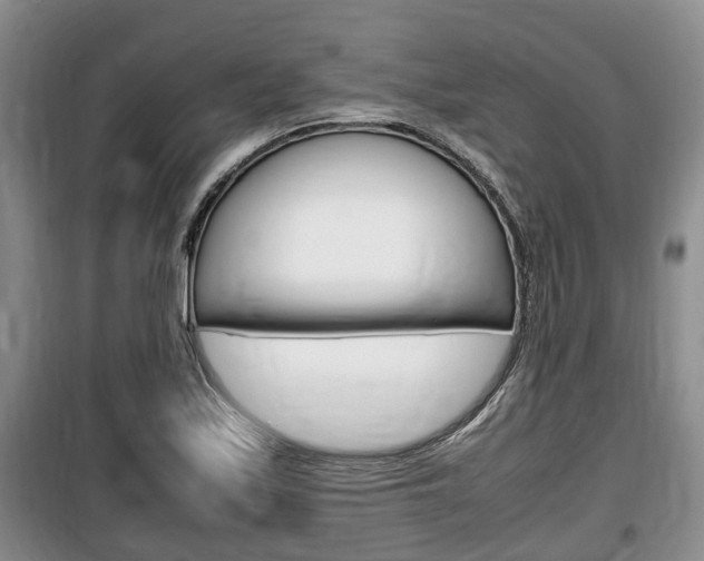 X0000100191171200805300718