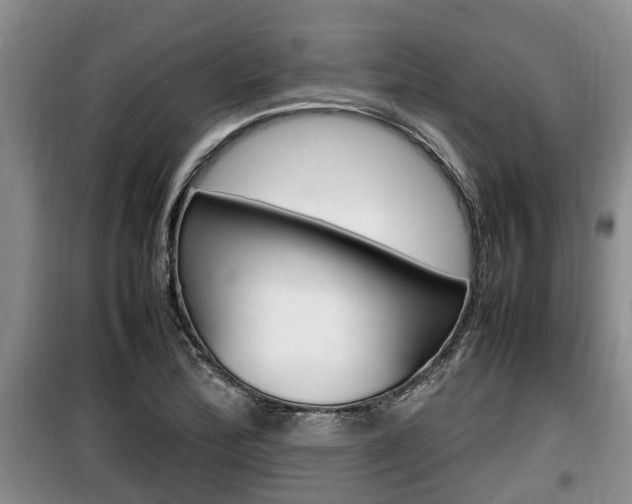 X0000100191172200805300718