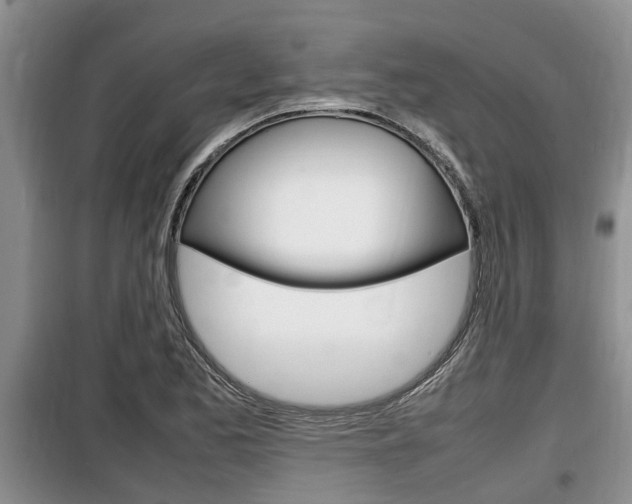 X0000100191173200805300718