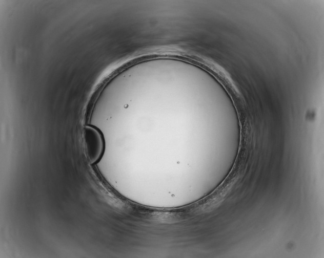 X0000100191176200805300718
