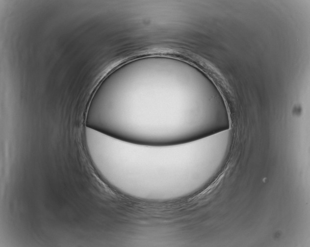 X0000100191177200805300718