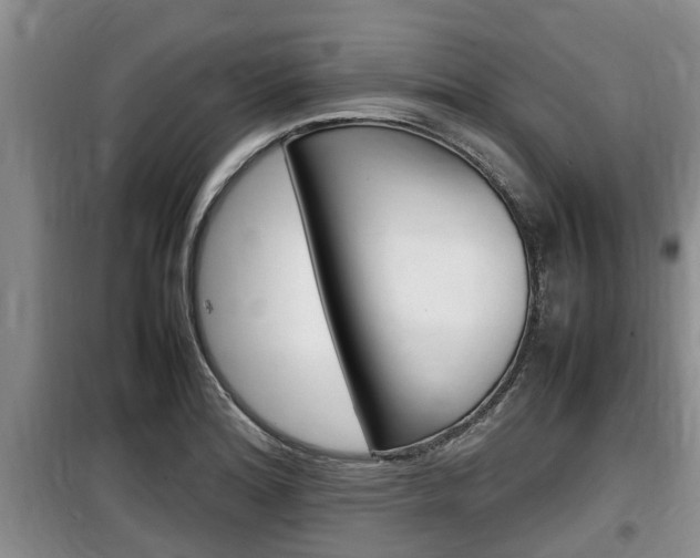 X0000100191180200805300718