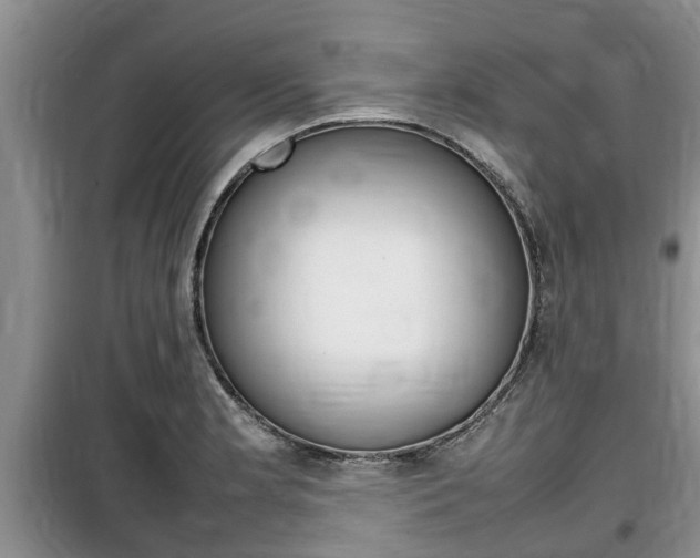 X0000100191181200805300718