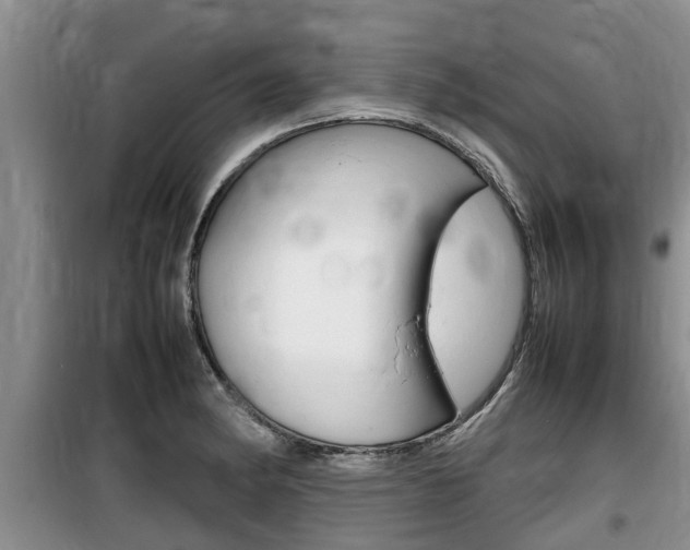 X0000100191182200805300718