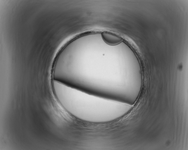 X0000100191183200805300718