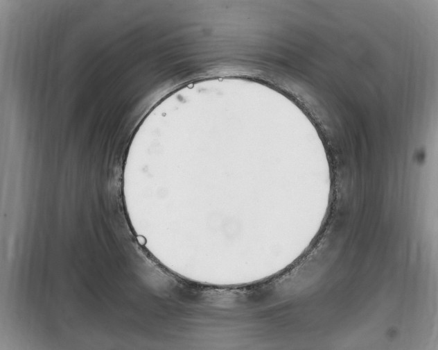 X0000100191185200805300718