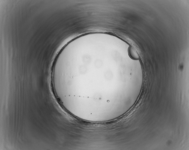 X0000100191187200805300718