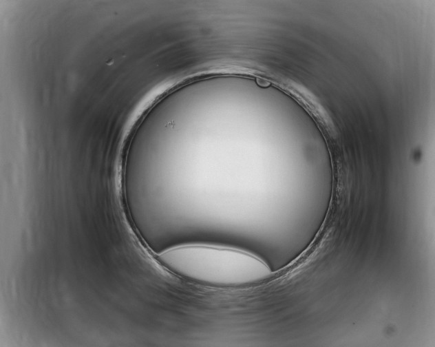 X0000100191188200805300718