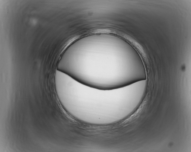 X0000100191193200805300718