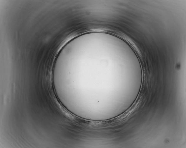 X0000100191194200805300718