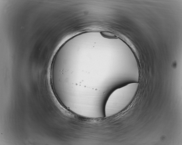 X0000100191195200805300718