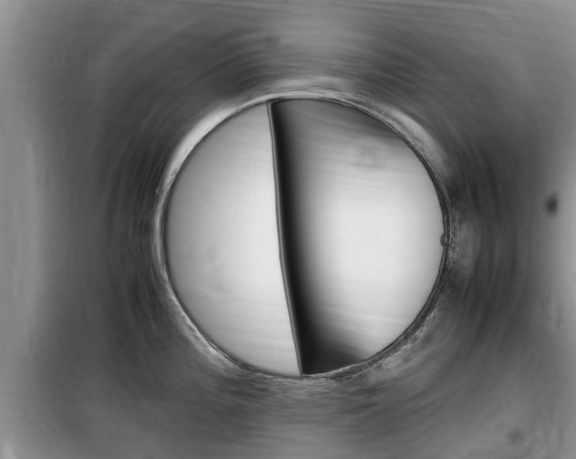 X0000100191196200805300718
