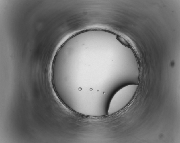 X0000100191199200805300718