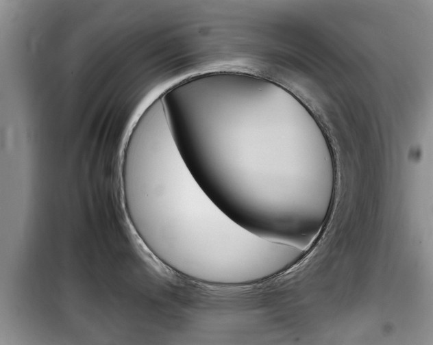 X0000100191200200805300718