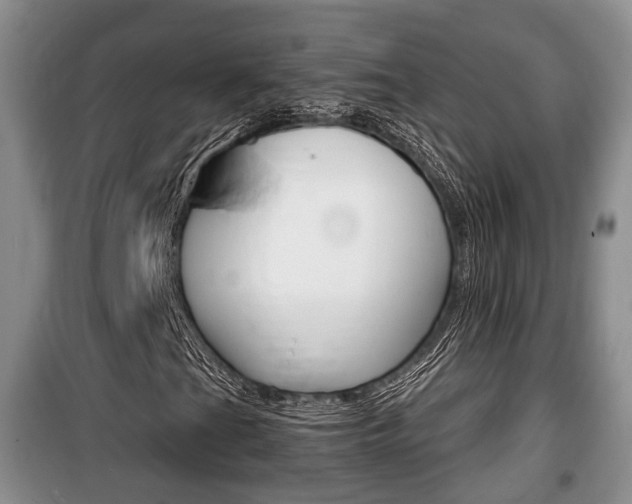 X0000100191201200805300717