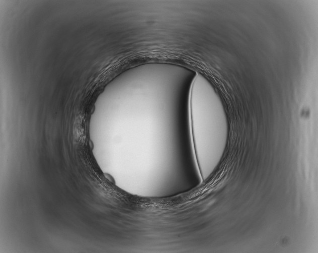 X0000100191202200805300717