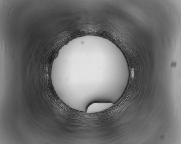 X0000100191203200805300717