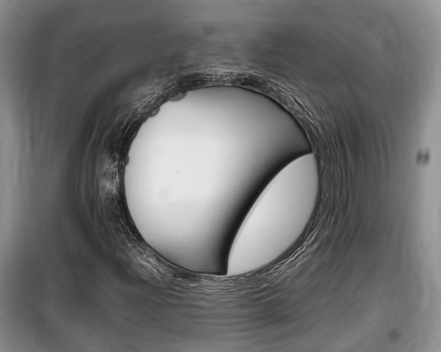 X0000100191204200805300717