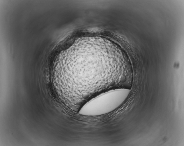 X0000100191205200805300717