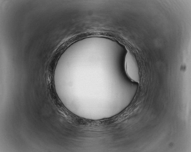 X0000100191206200805300717