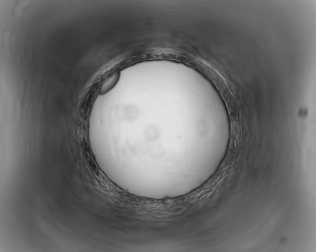 X0000100191207200805300717