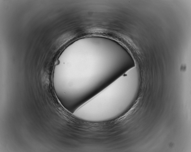 X0000100191209200805300717