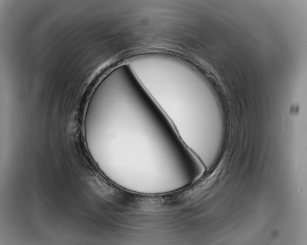 X0000100191210200805300717