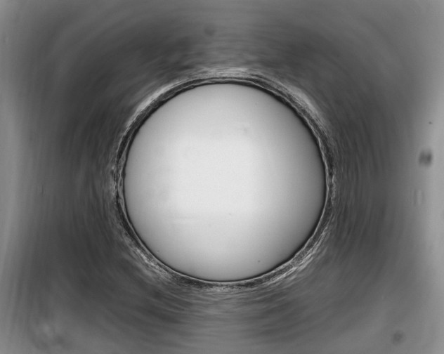 X0000100191212200805300717