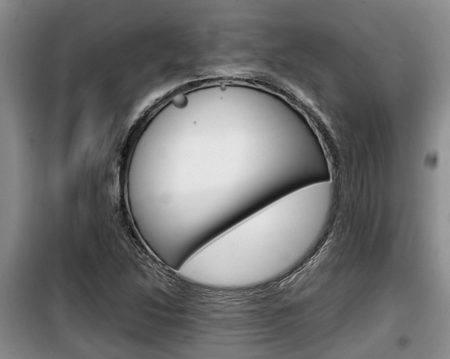 X0000100191214200805300717