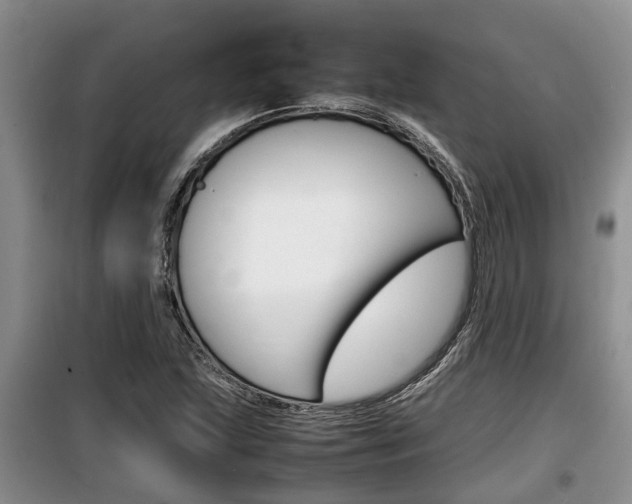 X0000100191215200805300717