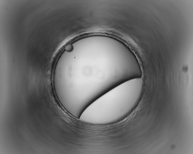 X0000100191216200805300717