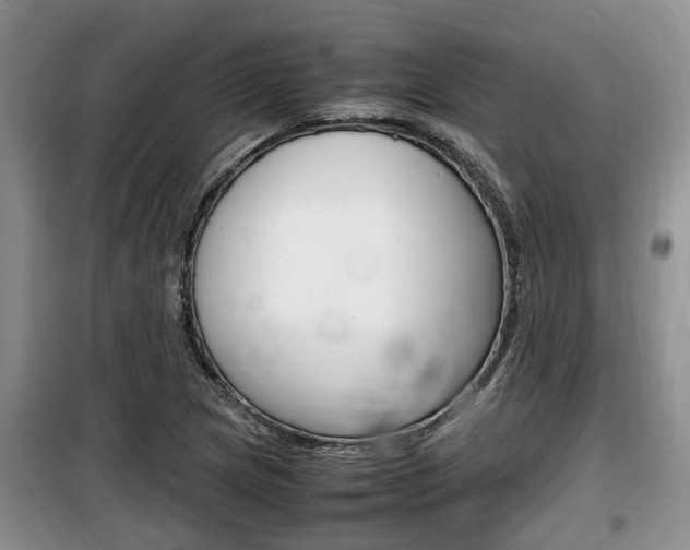 X0000100191217200805300717