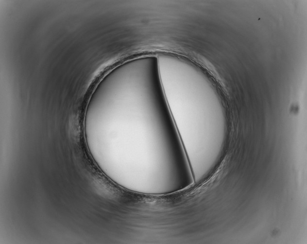 X0000100191218200805300717