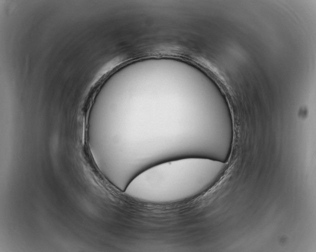 X0000100191219200805300717