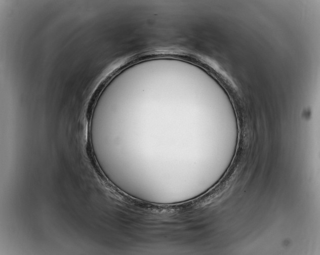 X0000100191221200805300717