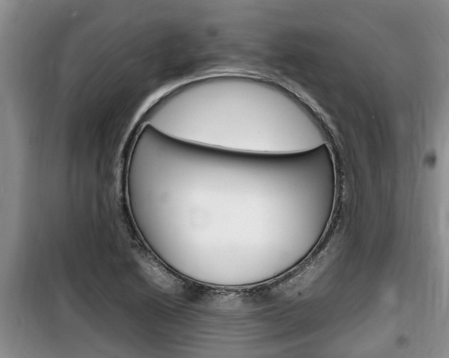 X0000100191222200805300717