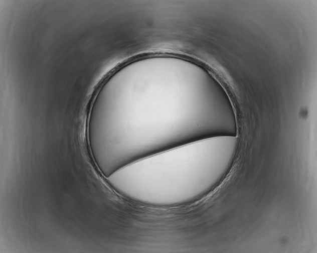 X0000100191224200805300717