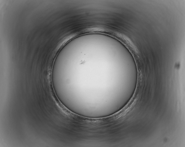 X0000100191225200805300717