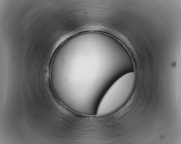 X0000100191226200805300717