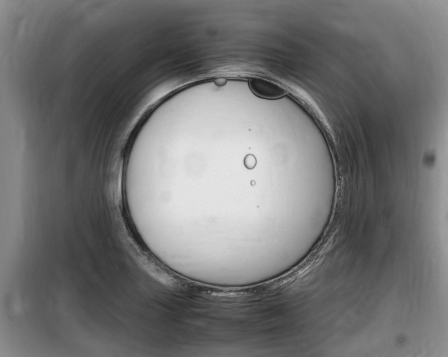 X0000100191227200805300717