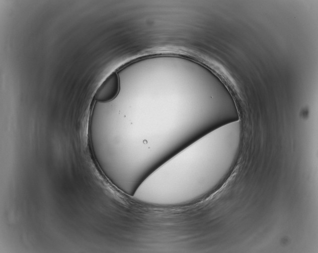 X0000100191228200805300717