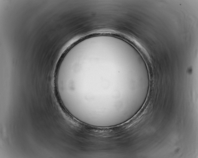 X0000100191229200805300717